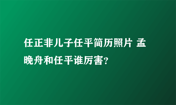 任正非儿子任平简历照片 孟晚舟和任平谁厉害？