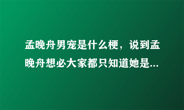 孟晚舟男宠是什么梗，说到孟晚舟想必大家都只知道她是一名奇女子-飞外网