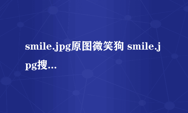 smile.jpg原图微笑狗 smile.jpg搜smile dog五秒动态图