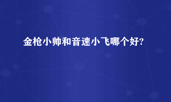 金枪小帅和音速小飞哪个好?