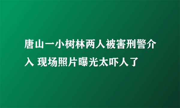 唐山一小树林两人被害刑警介入 现场照片曝光太吓人了