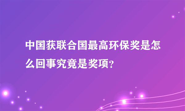 中国获联合国最高环保奖是怎么回事究竟是奖项？