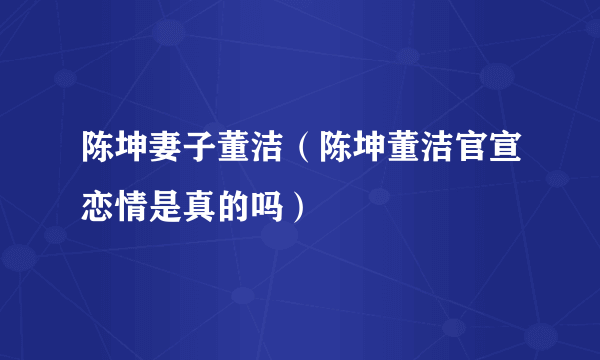 陈坤妻子董洁（陈坤董洁官宣恋情是真的吗）