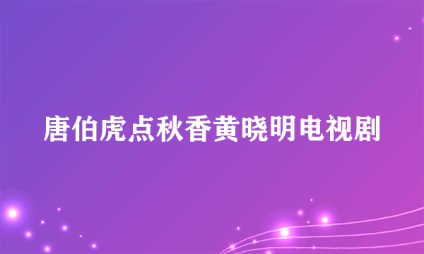 唐伯虎点秋香黄晓明电视剧