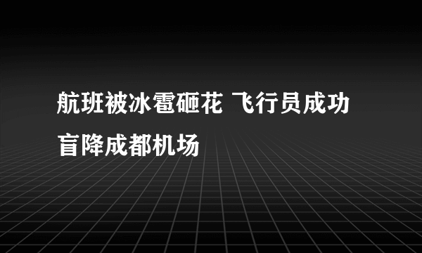 航班被冰雹砸花 飞行员成功盲降成都机场