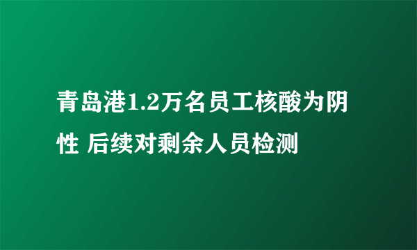 青岛港1.2万名员工核酸为阴性 后续对剩余人员检测