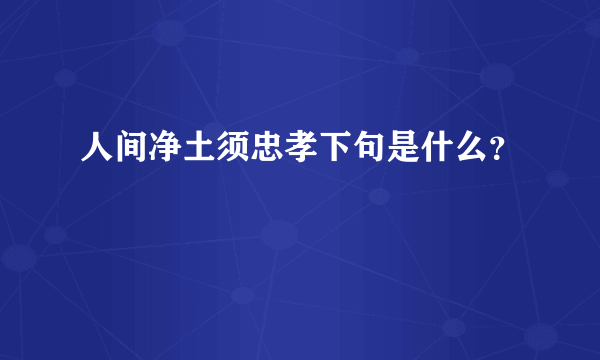 人间净土须忠孝下句是什么？