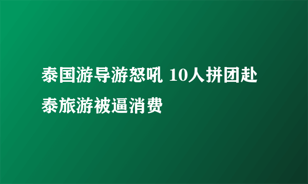 泰国游导游怒吼 10人拼团赴泰旅游被逼消费