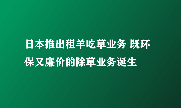 日本推出租羊吃草业务 既环保又廉价的除草业务诞生