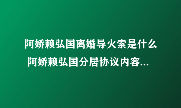 阿娇赖弘国离婚导火索是什么 阿娇赖弘国分居协议内容说了什么