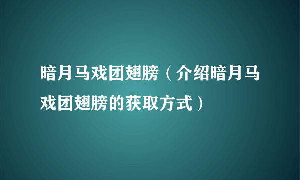 暗月马戏团翅膀（介绍暗月马戏团翅膀的获取方式）