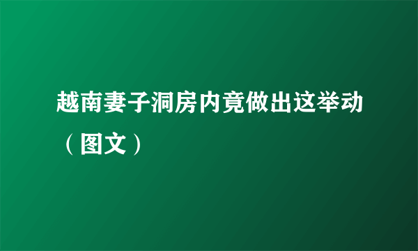 越南妻子洞房内竟做出这举动（图文）