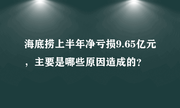 海底捞上半年净亏损9.65亿元，主要是哪些原因造成的？