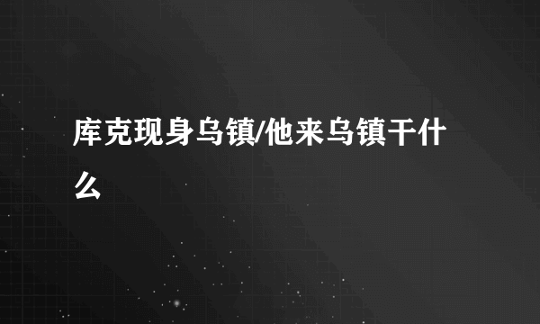 库克现身乌镇/他来乌镇干什么