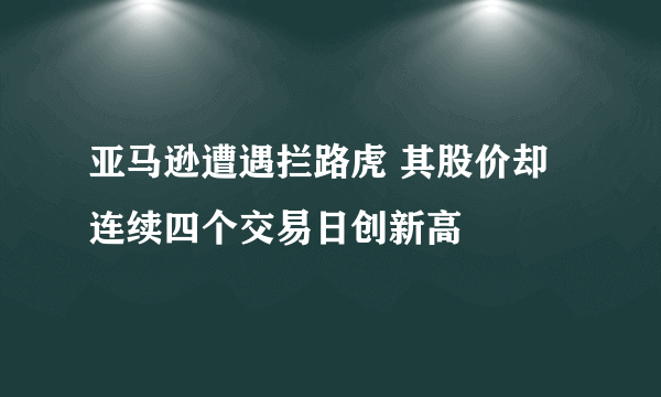 亚马逊遭遇拦路虎 其股价却连续四个交易日创新高