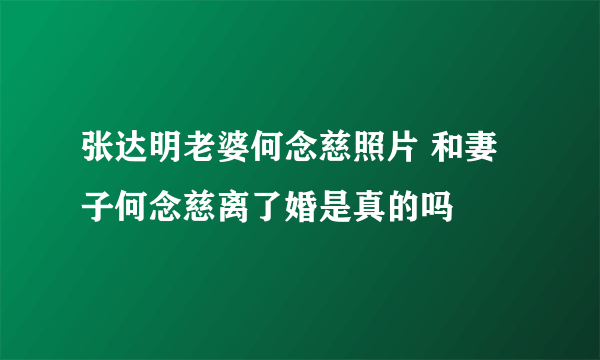 张达明老婆何念慈照片 和妻子何念慈离了婚是真的吗