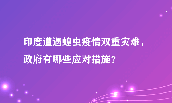 印度遭遇蝗虫疫情双重灾难，政府有哪些应对措施？