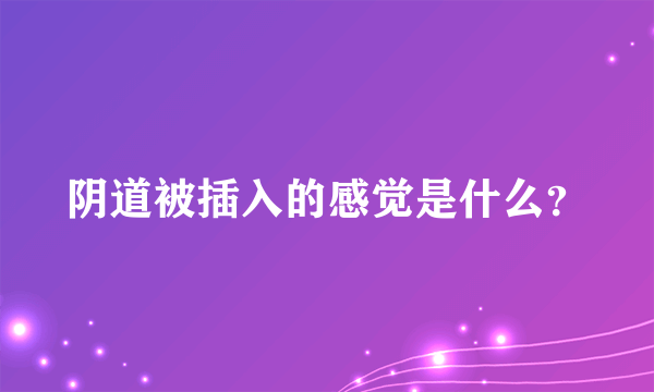 阴道被插入的感觉是什么？