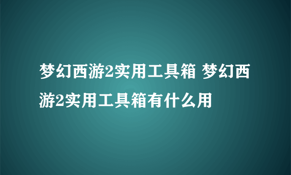 梦幻西游2实用工具箱 梦幻西游2实用工具箱有什么用