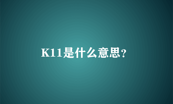 K11是什么意思？