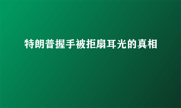 特朗普握手被拒扇耳光的真相