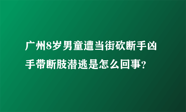 广州8岁男童遭当街砍断手凶手带断肢潜逃是怎么回事？