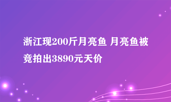 浙江现200斤月亮鱼 月亮鱼被竞拍出3890元天价