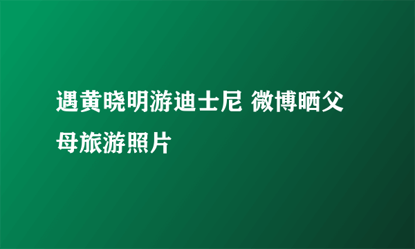 遇黄晓明游迪士尼 微博晒父母旅游照片