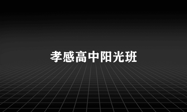 孝感高中阳光班