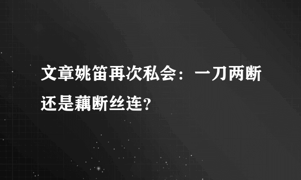 文章姚笛再次私会：一刀两断还是藕断丝连？