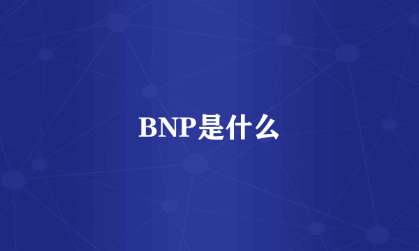 BNP是什么