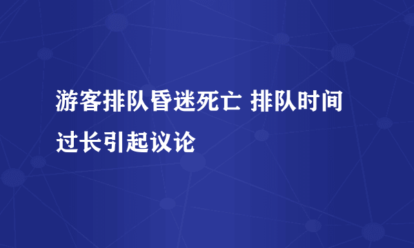 游客排队昏迷死亡 排队时间过长引起议论