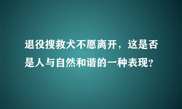 退役搜救犬不愿离开，这是否是人与自然和谐的一种表现？