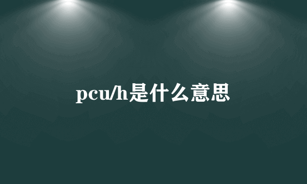 pcu/h是什么意思