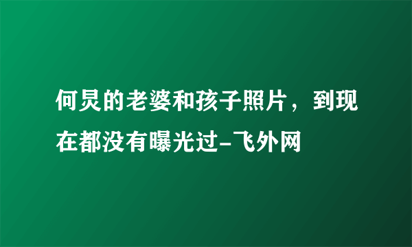 何炅的老婆和孩子照片，到现在都没有曝光过-飞外网