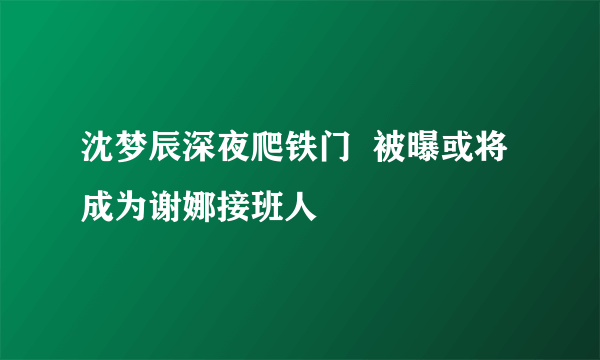 沈梦辰深夜爬铁门  被曝或将成为谢娜接班人