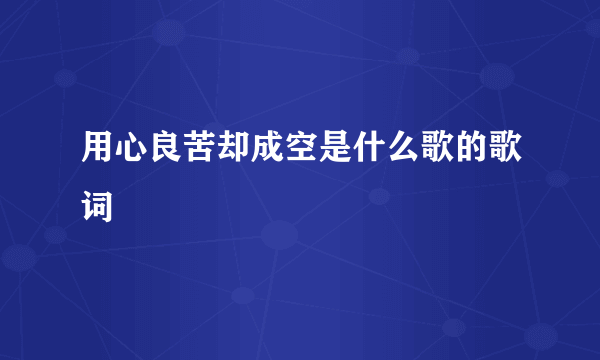 用心良苦却成空是什么歌的歌词