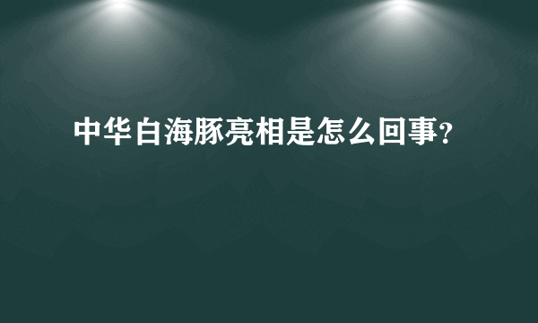 中华白海豚亮相是怎么回事？