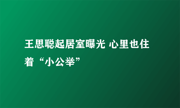 王思聪起居室曝光 心里也住着“小公举”