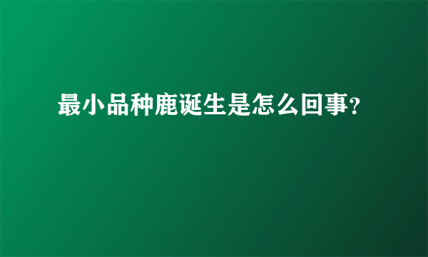 最小品种鹿诞生是怎么回事？