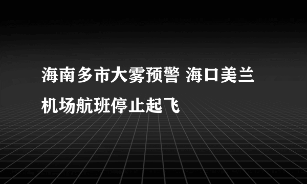 海南多市大雾预警 海口美兰机场航班停止起飞