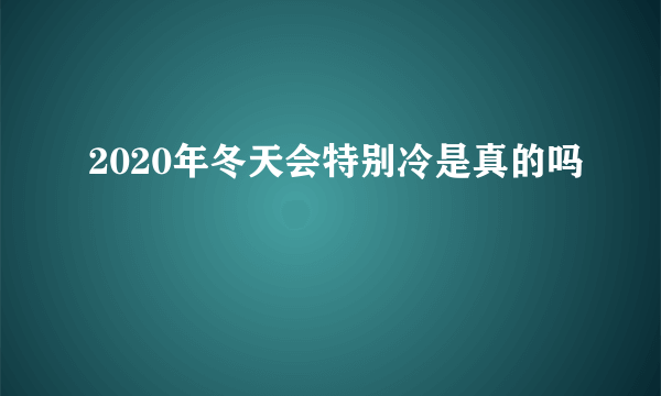 2020年冬天会特别冷是真的吗