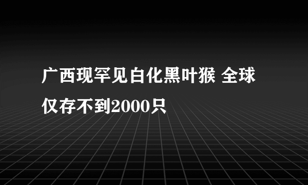 广西现罕见白化黑叶猴 全球仅存不到2000只