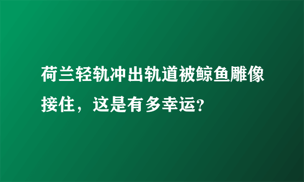 荷兰轻轨冲出轨道被鲸鱼雕像接住，这是有多幸运？