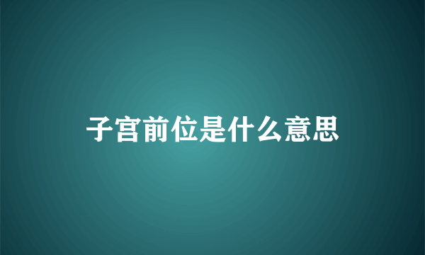 子宫前位是什么意思