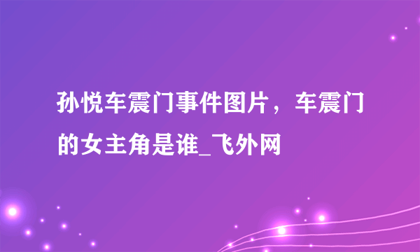 孙悦车震门事件图片，车震门的女主角是谁_飞外网