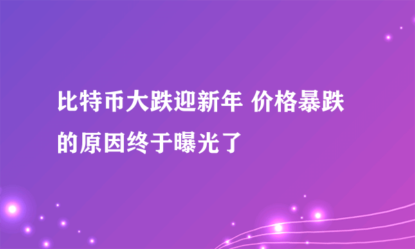 比特币大跌迎新年 价格暴跌的原因终于曝光了