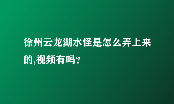 徐州云龙湖水怪是怎么弄上来的,视频有吗？