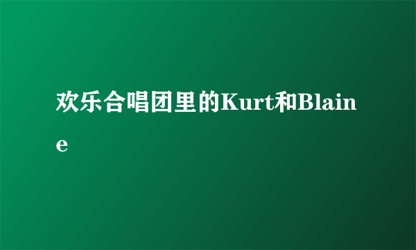 欢乐合唱团里的Kurt和Blaine