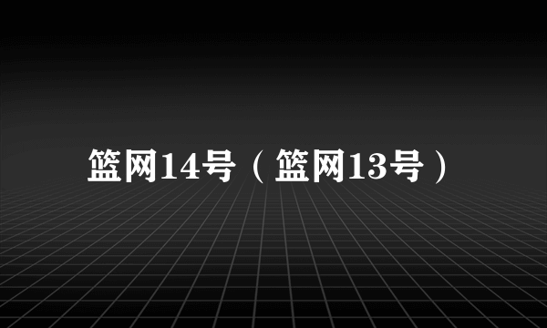 篮网14号（篮网13号）